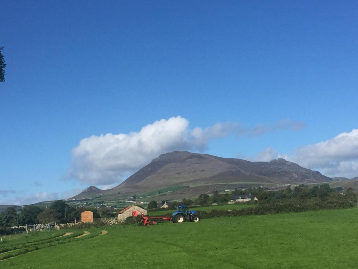 Willowtree Glamping Mournes Villa Annalong ภายนอก รูปภาพ